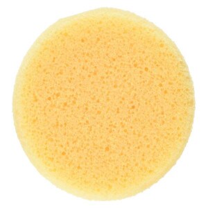 2 Pack Sponges